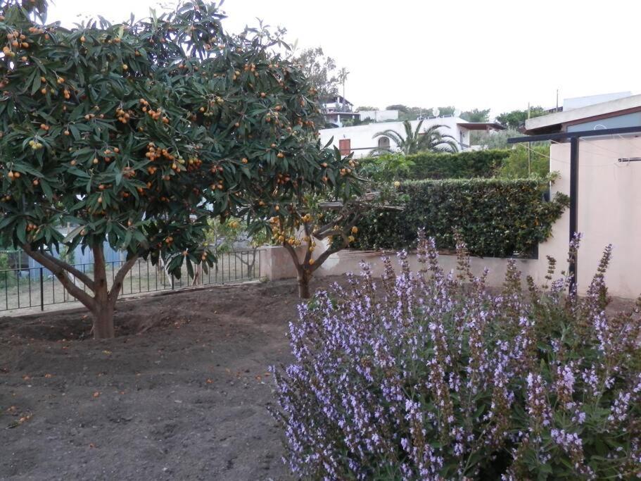 Casa Catalogna , Vicino Al Centro Storico. Villa Lipari  Luaran gambar